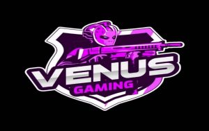 Quá trình mà Venus Gaming đi lên từ con số 0 
