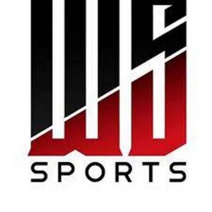 Logo nhà cung cấp game cá cược WS Sports 