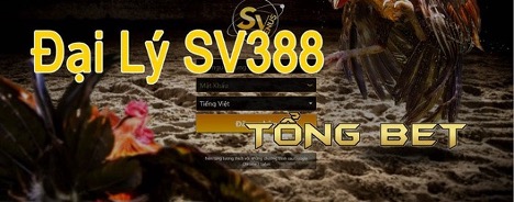 Đại lý của Sv388 là ai?