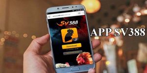 Cách tải app SV388 về máy cho các cược thủ